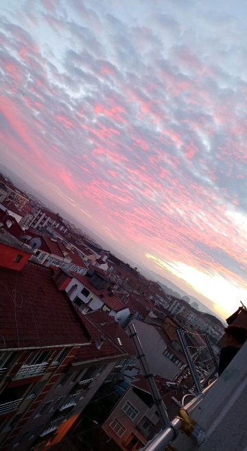 Baran