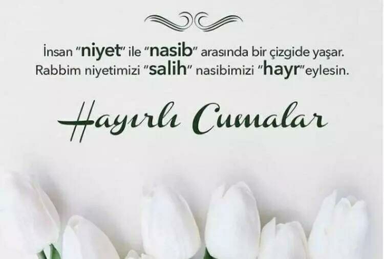 Didem
