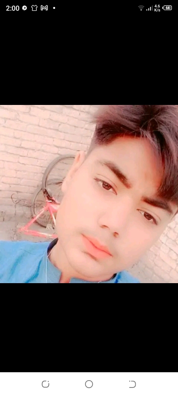 Shamil
