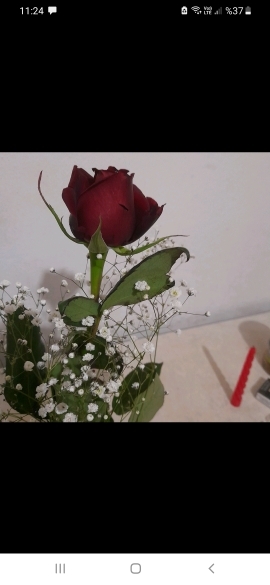 Dilek