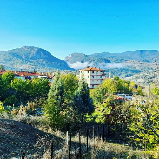 Ayşe
