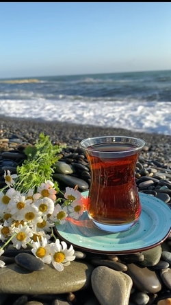 Hayat