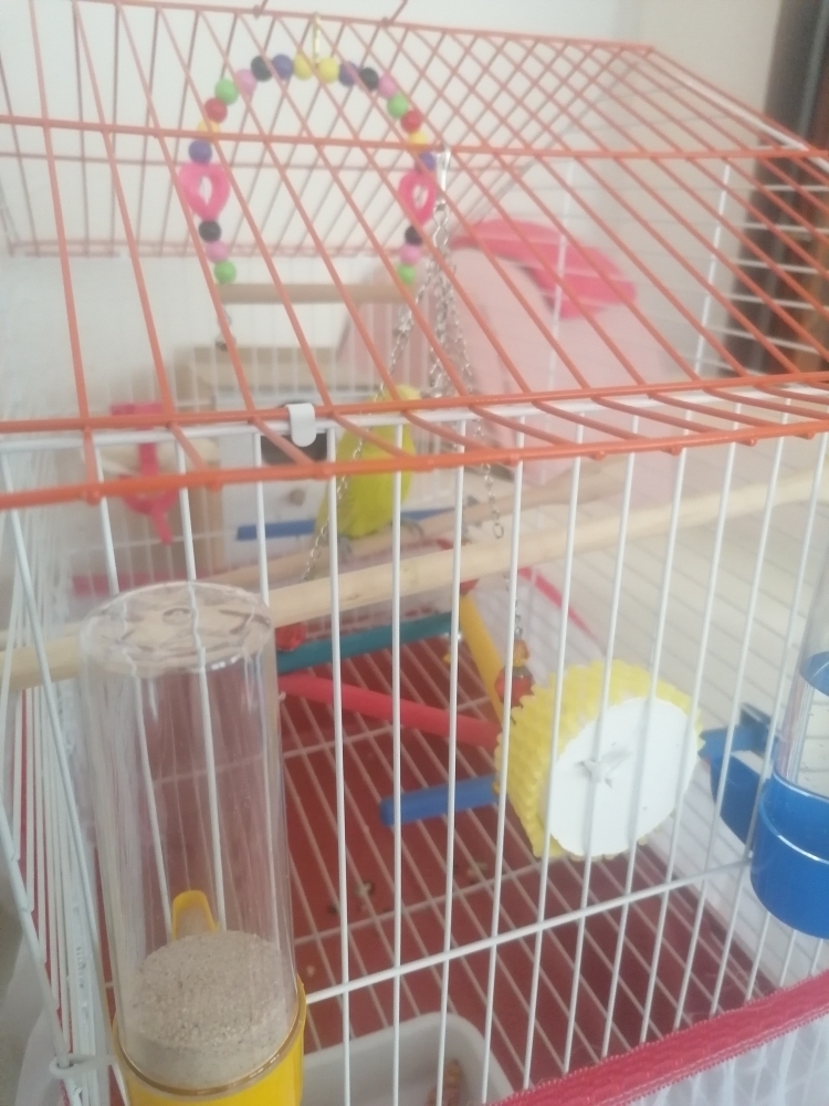 Fatih