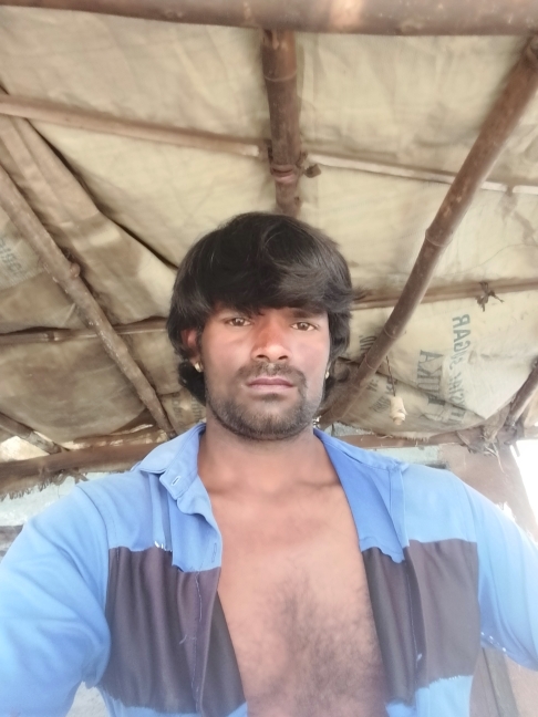 ટીનાજીસિંગ