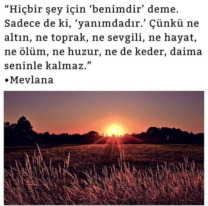 Selin