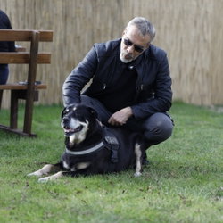 melih