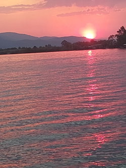 Ergin