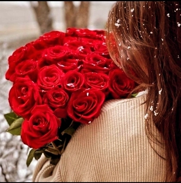 Aynur