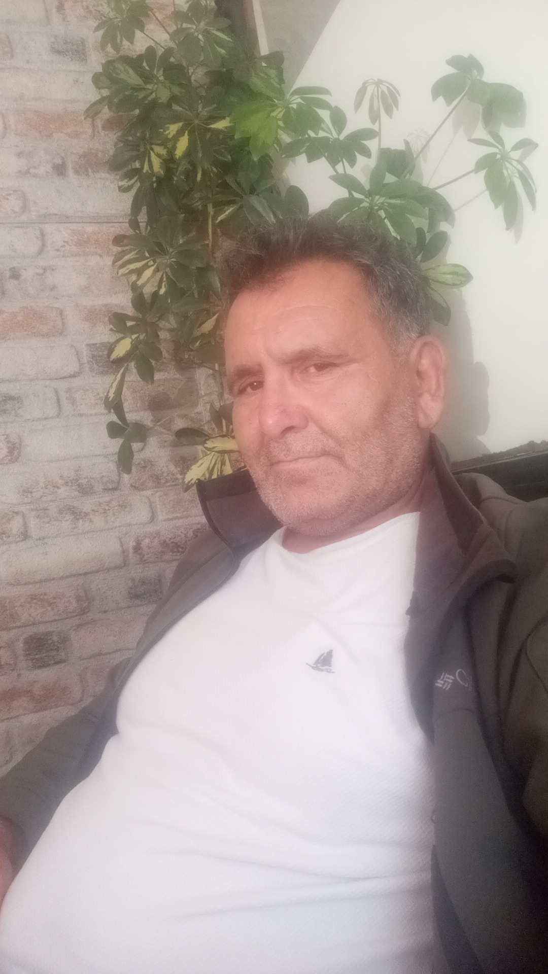 Aydın