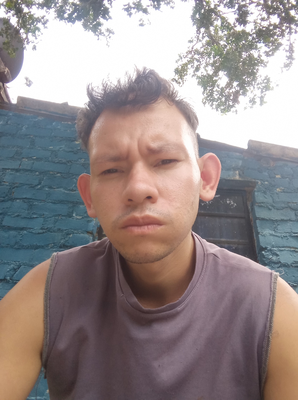 Andres