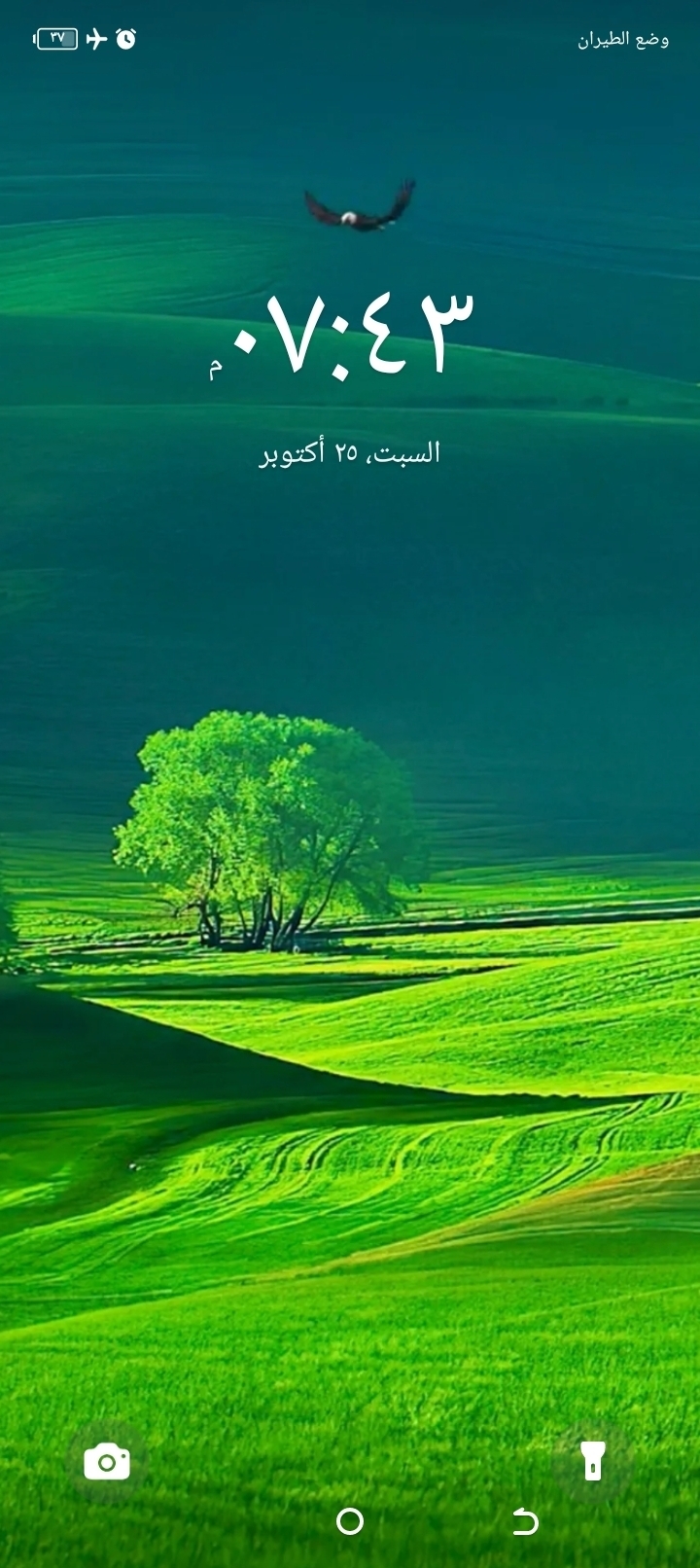 عمار