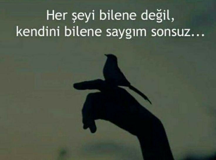 Dolunay