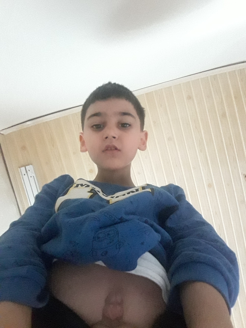 Doğan
