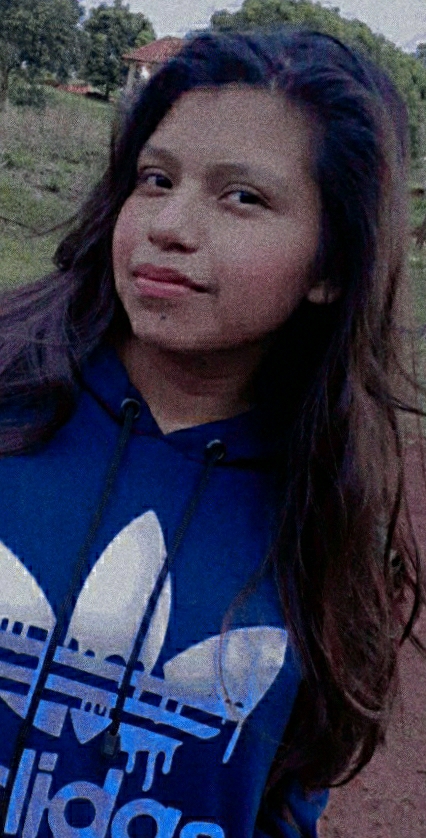 GESIELE
