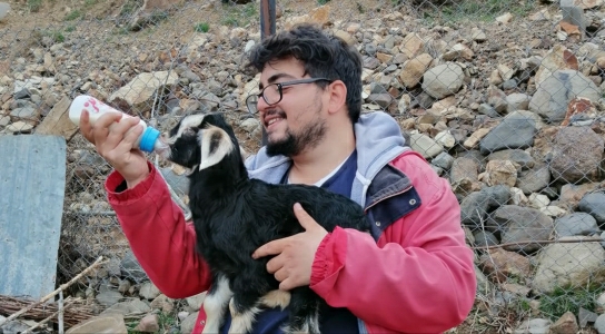 Maral