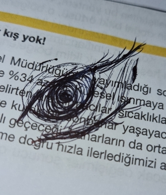 Salim