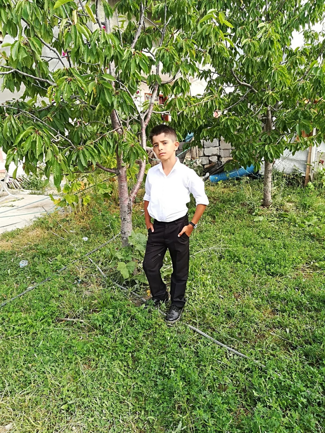 Bahar