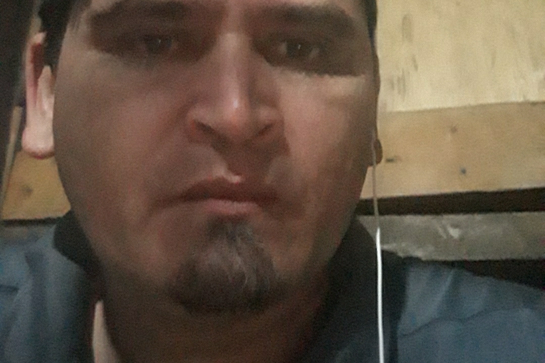 Pollo