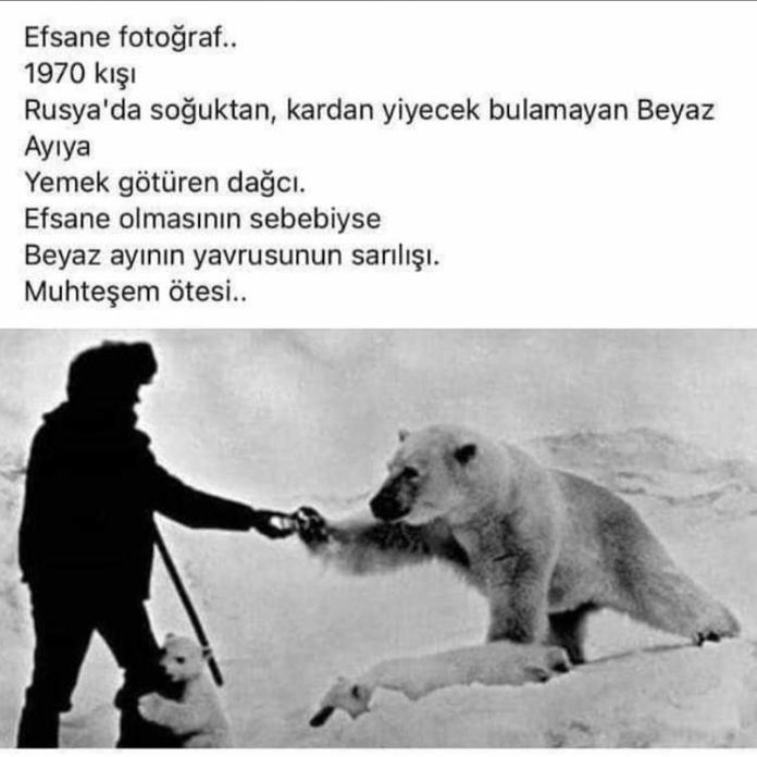 Yunus
