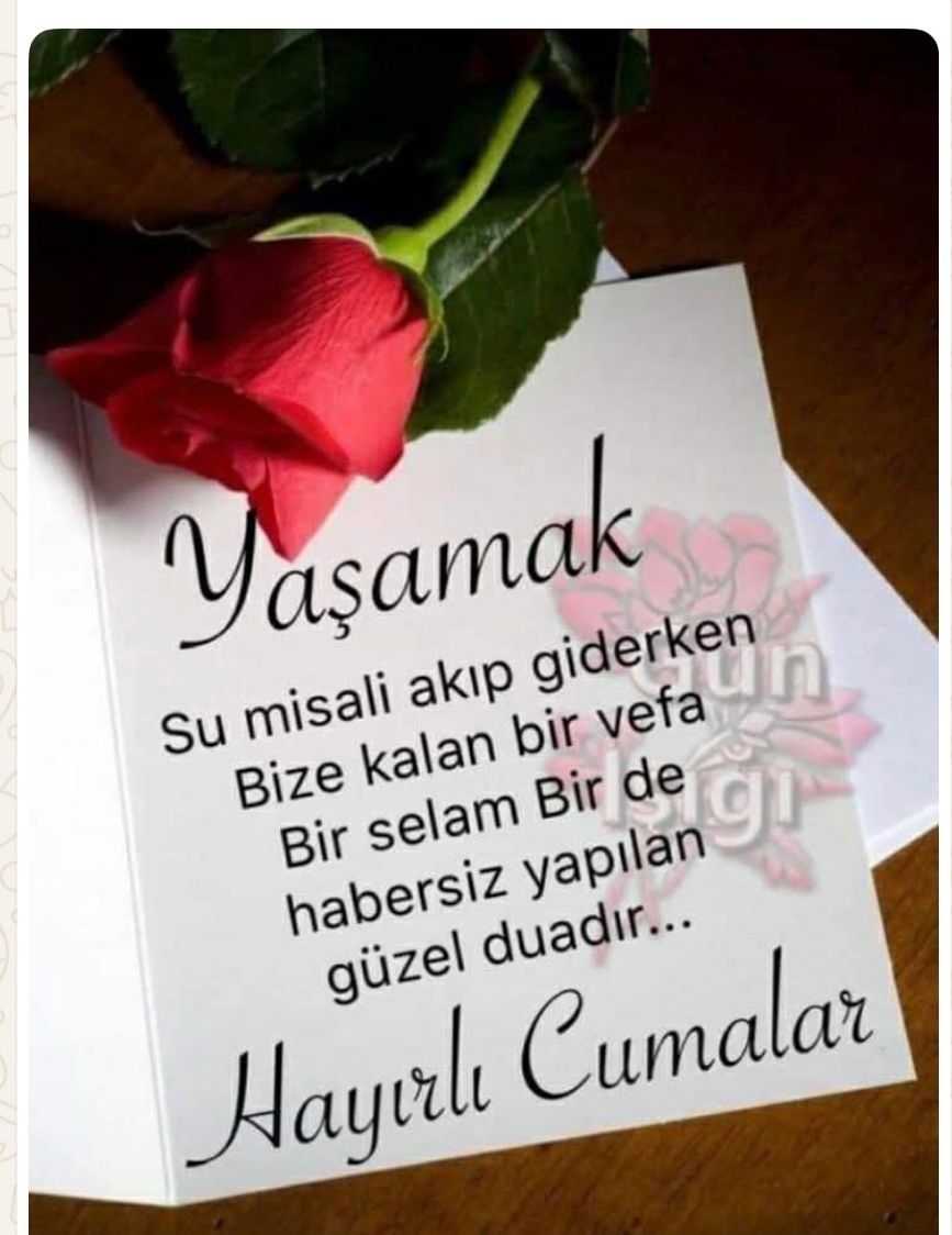 Remzi