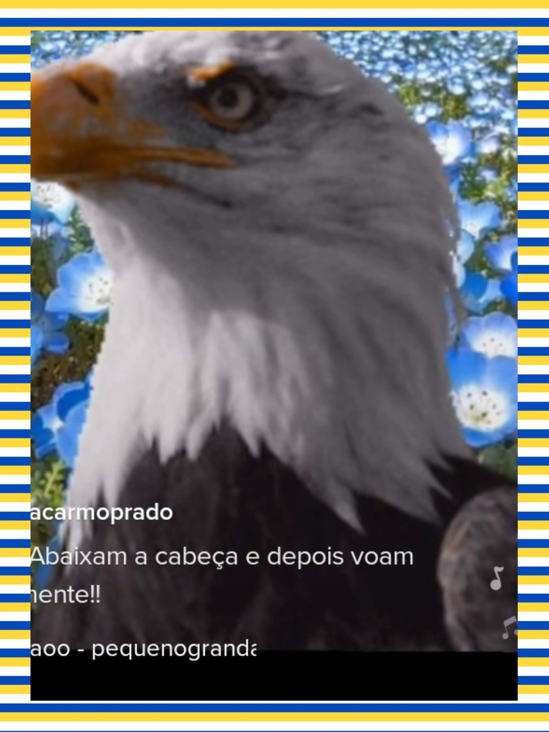 Josenido
