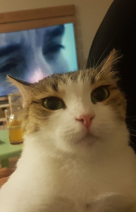 Eylül