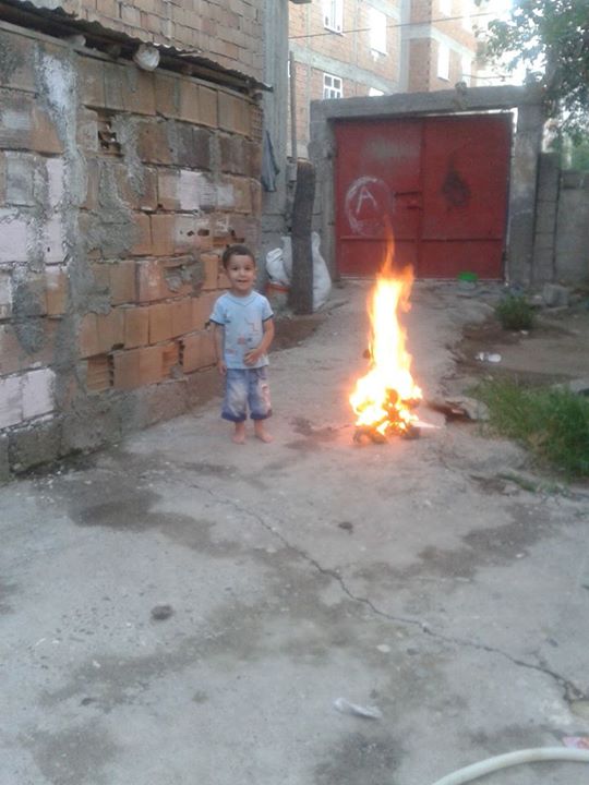 Dicleli