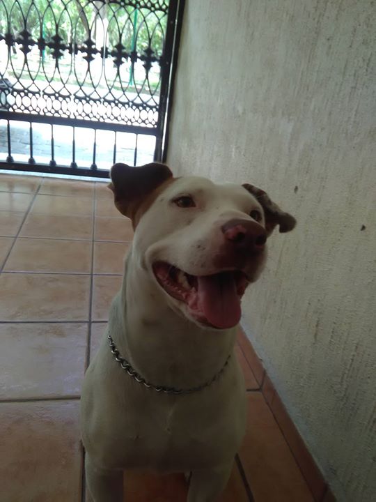 Alejandro