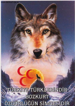 Aslan