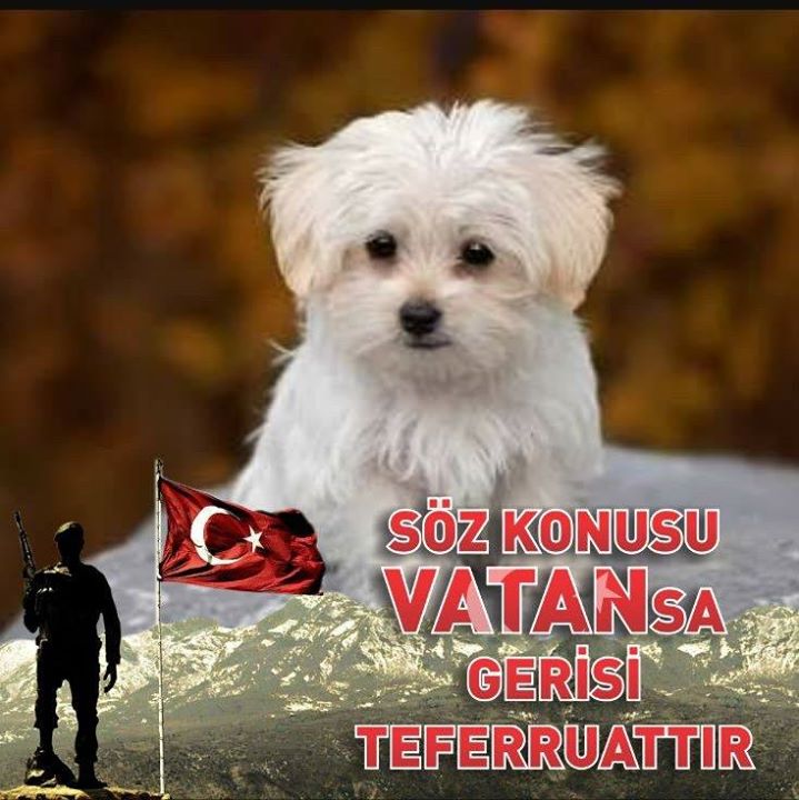 Ümran
