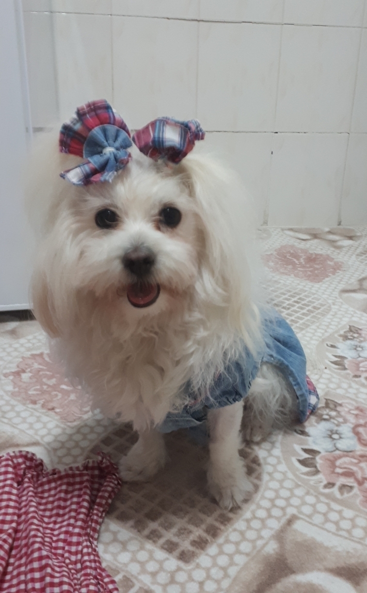 Ayça