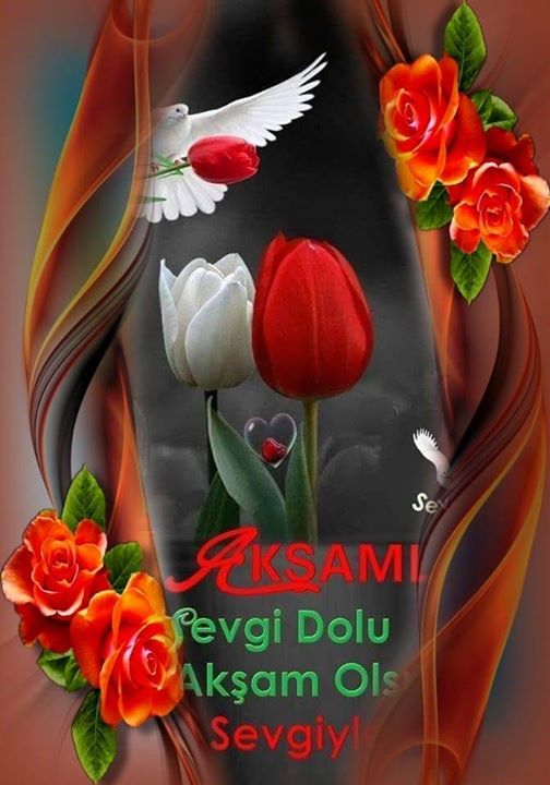 Hamdi
