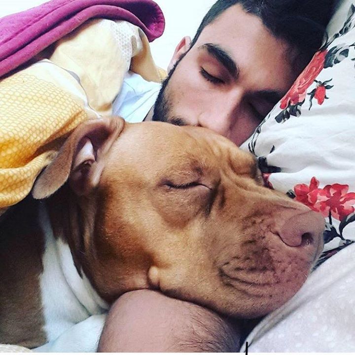 Aşkın