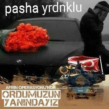 Pasha