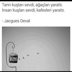 Aktan