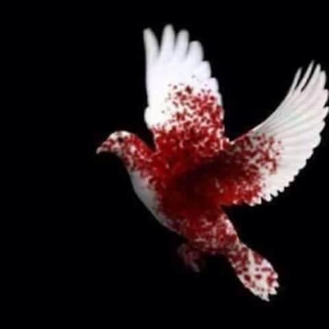 Nimet