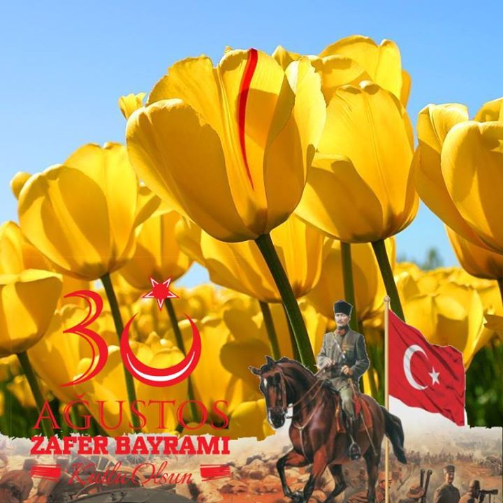 Berk