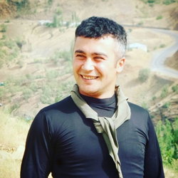 Hamdi