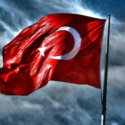 Murat