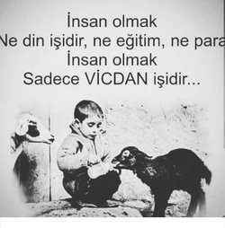 Neşe