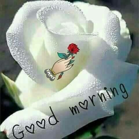 V G Prasad