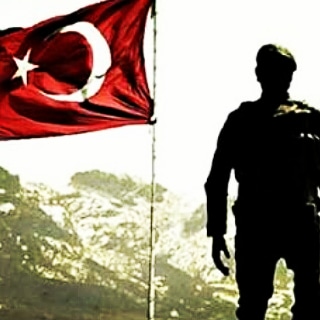 Timurhandinç