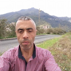 Dursunali