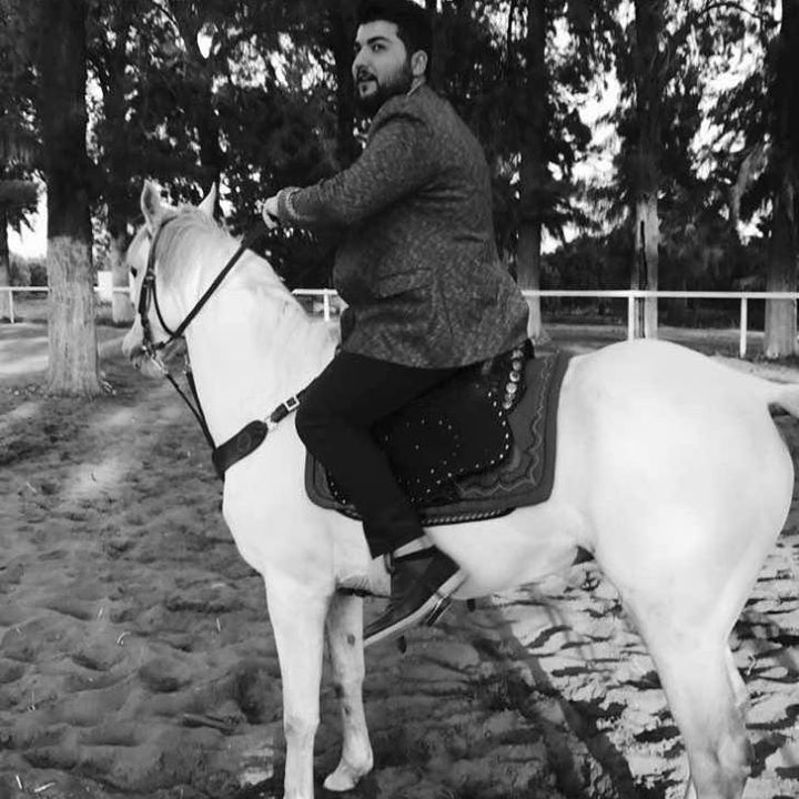 Orhan