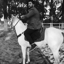 Orhan