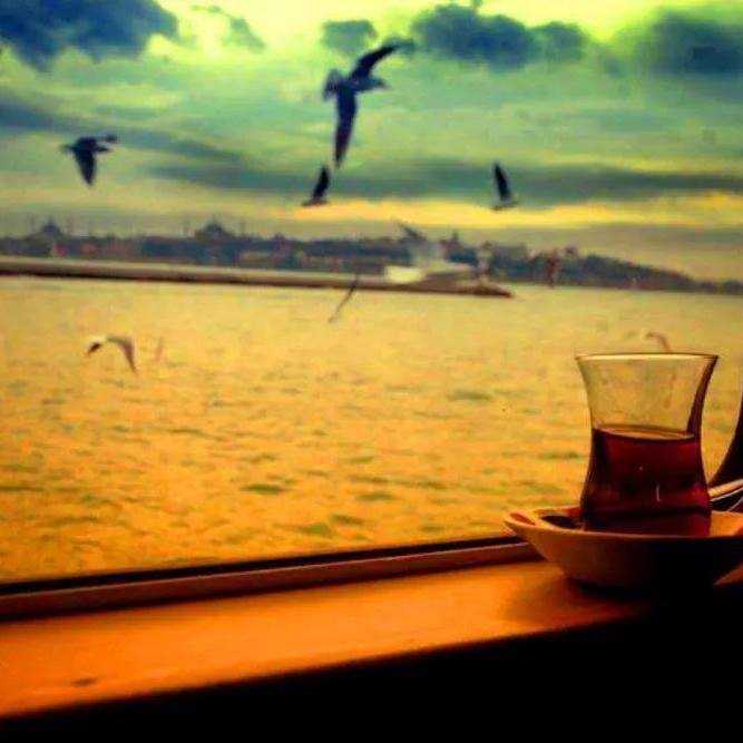 Tuğçe