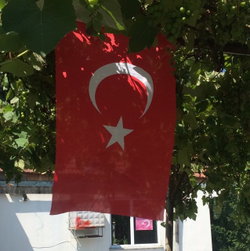 KazimGüler