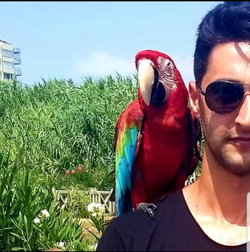 Serhat