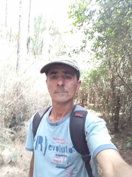 Sagui