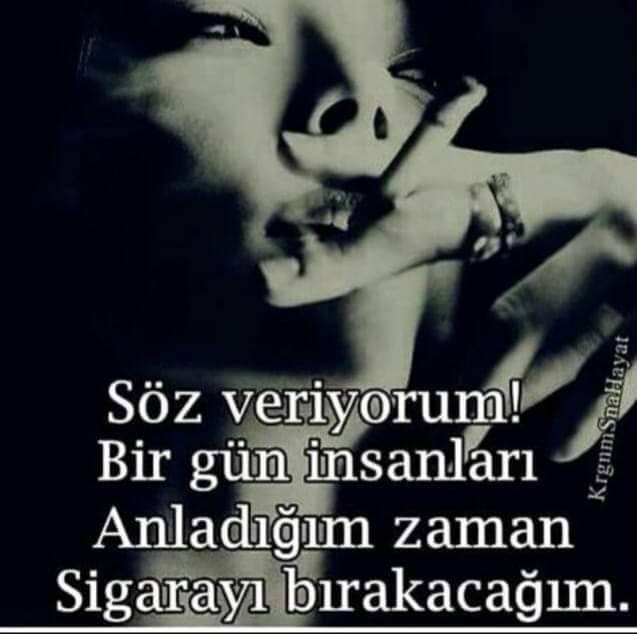 Bulut